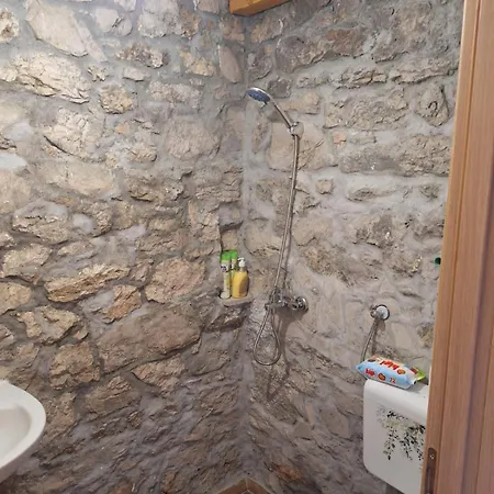 Kosara Trisnjevac