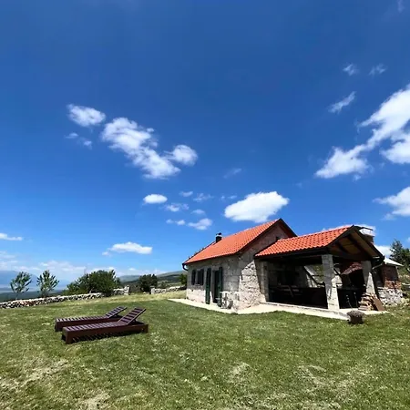Kosara Trisnjevac