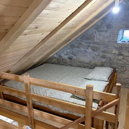 Kosara Trisnjevac