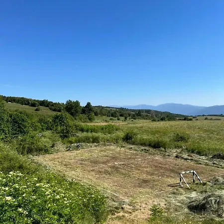 Kosara Trisnjevac *